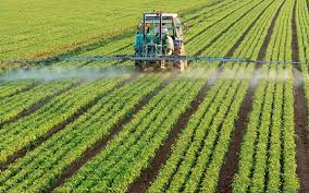 Insumos y Fertilizantes